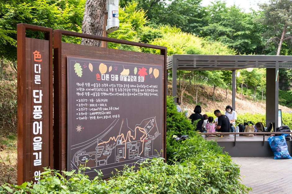Outdoor park scene with a detailed map signboard and visitors relaxing under a pavilion.